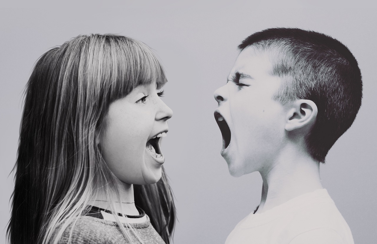 children, dispute, shouting
